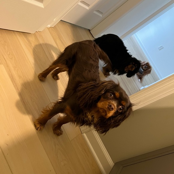 About Me - Picture 10 of 16